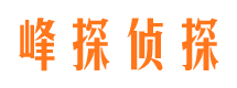 常德市私家侦探